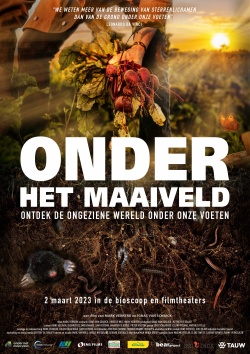 filmdepot-Onder-het-Maaiveld_ps_1_jpg_sd-high_EMS-FILMS.jpg