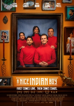 filmdepot-A-Nice-Indian-Boy_ps_1_jpg_sd-high.jpg