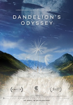 filmdepot-Dandelion-s-Odyssey_ps_1_jpg_sd-high.jpg