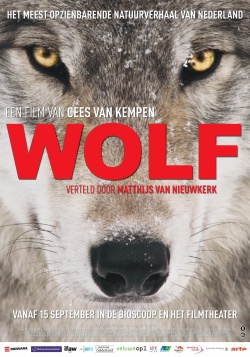 filmdepot-Wolf_ps_1_jpg_sd-high_Photo-by-Cees-van-Kempen.jpeg