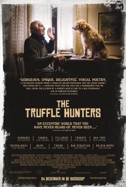 filmdepot-The-Truffle-Hunters_ps_1_jpg_sd-high.jpg