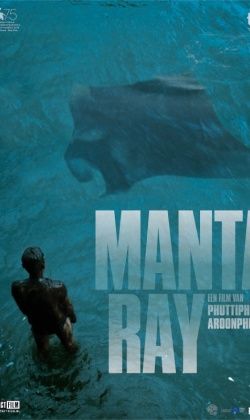 Manta Ray
