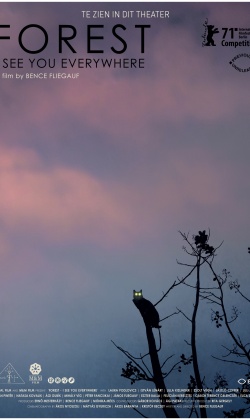 Previously Unreleased: Forest: I See You Everywhere