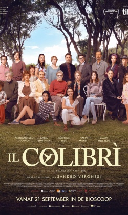 Il colibrì