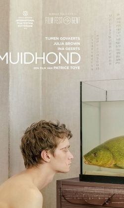 Muidhond