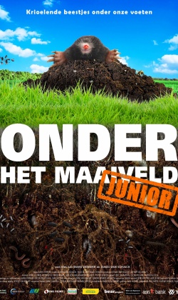 Bodemdierendagen: Onder het Maaiveld Junior