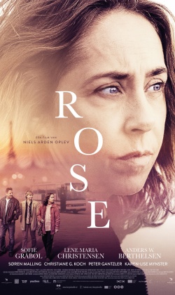 50+ Rose