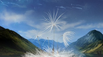 filmdepot-Dandelion-s-Odyssey_ps_1_jpg_sd-high.jpg