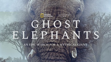 filmdepot-Ghost-Elephants_ps_1_jpg_sd-high.jpg