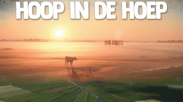 filmdepot-Hoop-in-de-Hoep_ps_1_jpg_sd-high.jpg