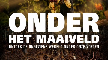 filmdepot-Onder-het-Maaiveld_ps_1_jpg_sd-high_EMS-FILMS.jpg