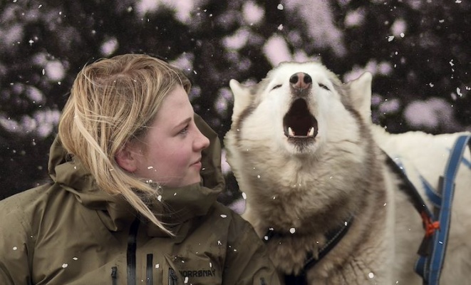 Folktales_ps_1_jpg_sd-low